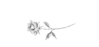 Stacyx