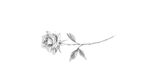 Stacyx